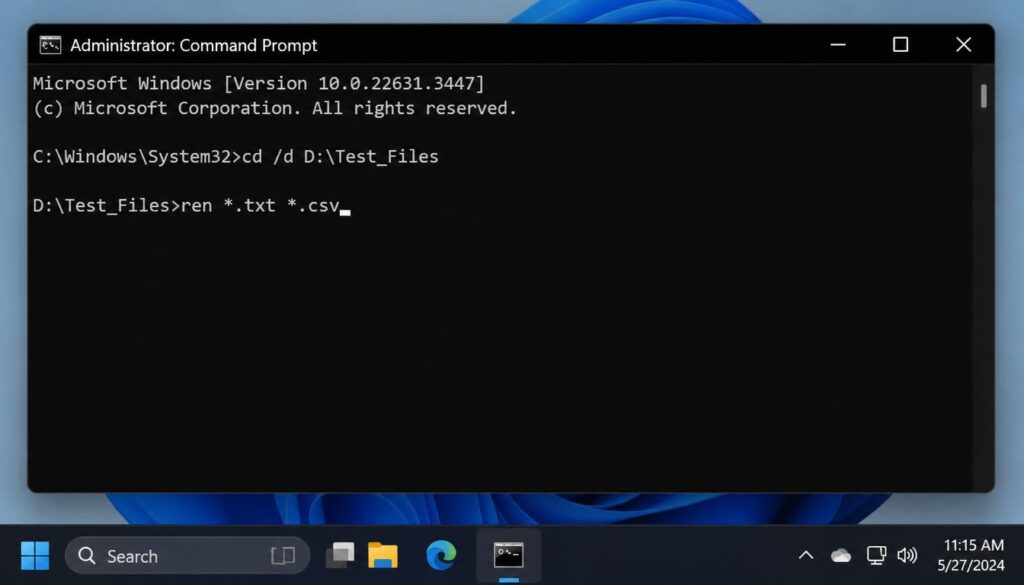Command Prompt bulk rename file extension Windows 11 using ren command